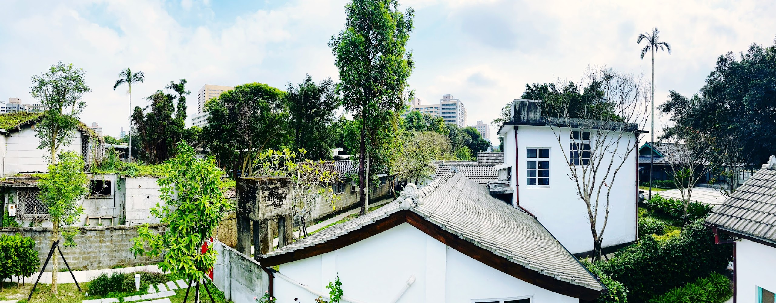 嘉禾新村全景。圖／楊沒